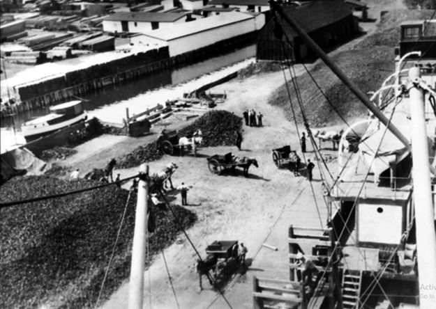 Large's Coal Yard