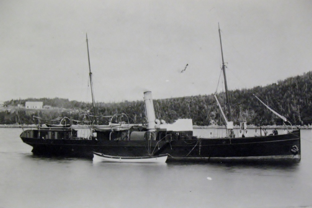 Gulnare on Newfoundland 1893. PARO #2670/35a